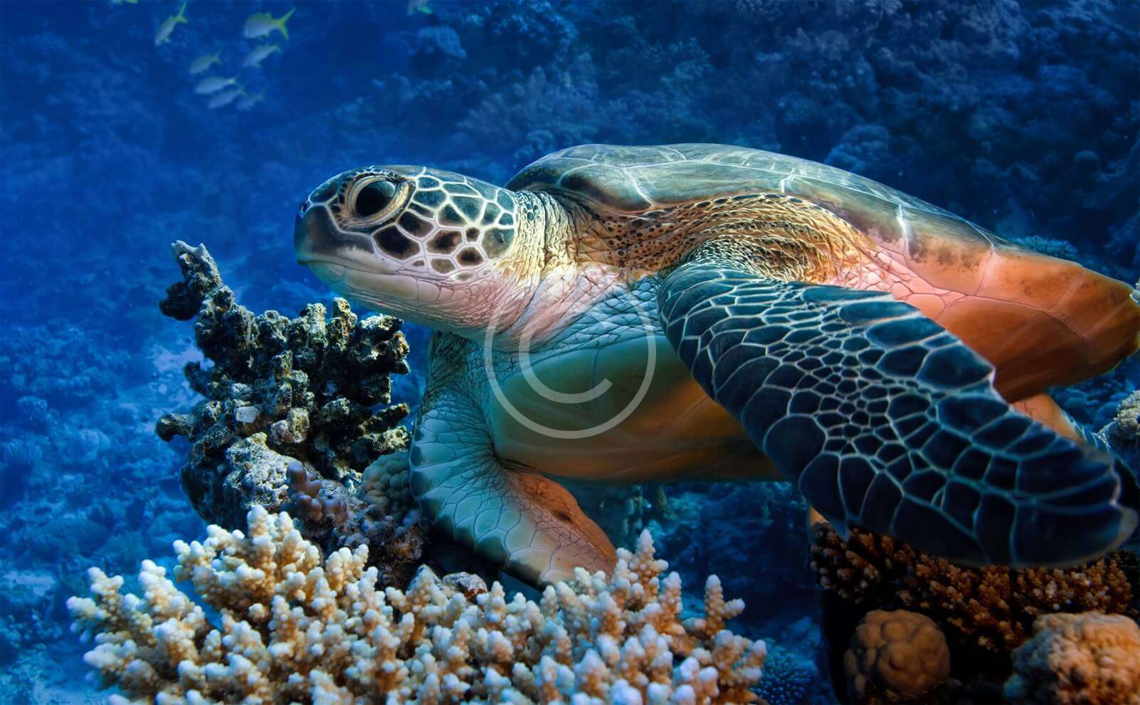 Giulia Detomati, CEO InVento Lab, imprenditrice ambientale a 31 anni