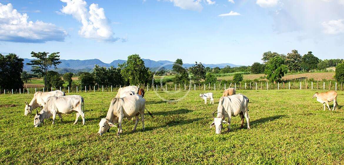 Gli studenti Green Jobs su Il Cittadino di Lodi con la startup IlluminiGREEN