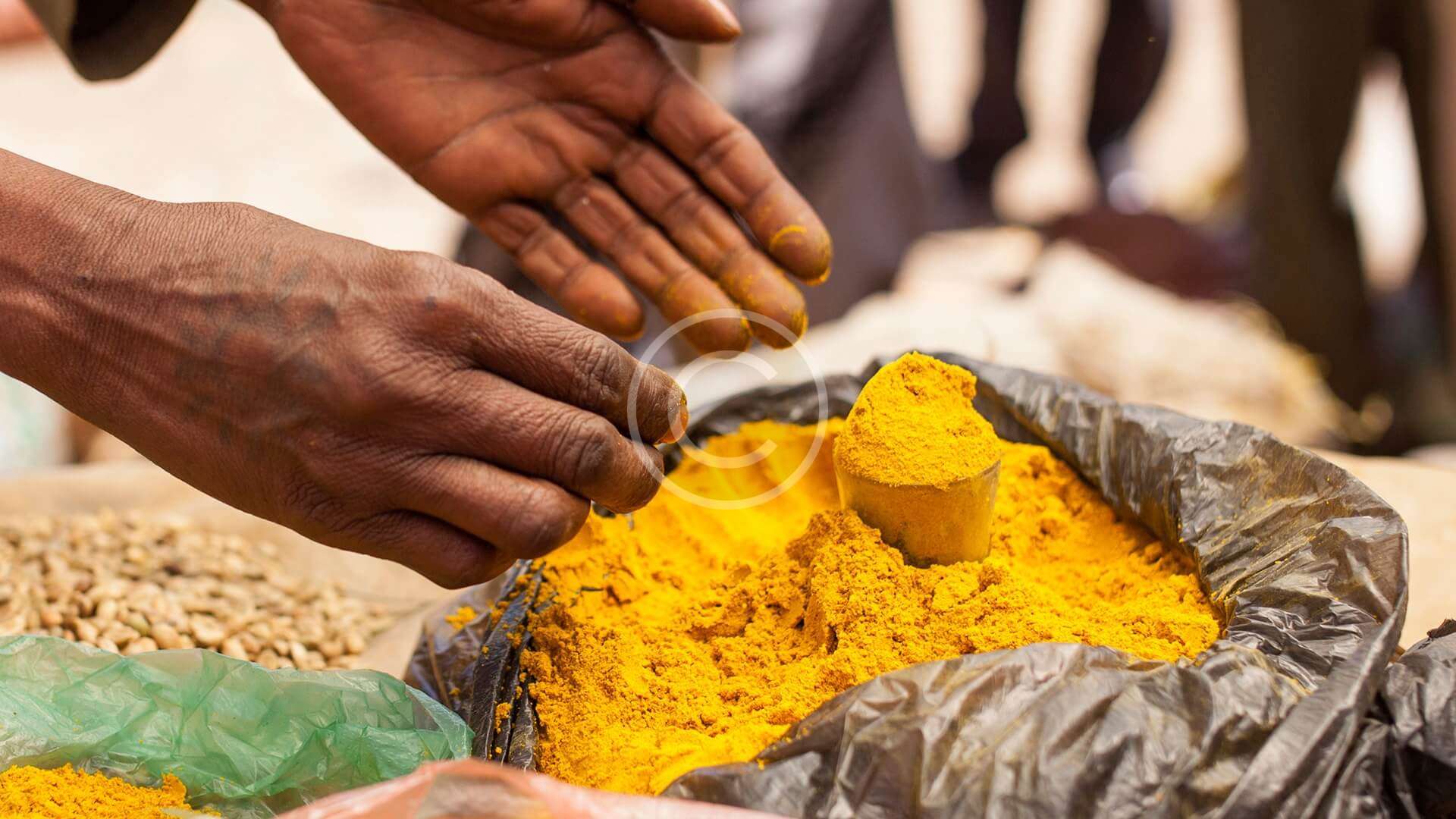 Sul portale di Fondazione Cariplo per il convegno “Green Jobs: che impresa”