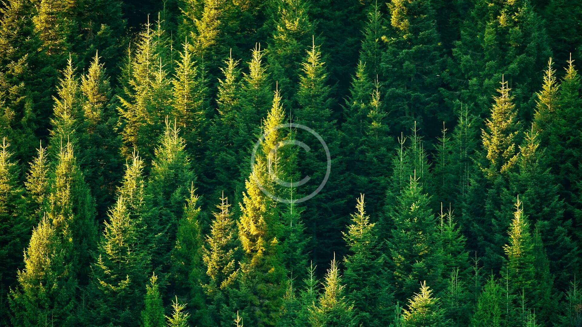 Giovani imprenditori a Treviglio: all’Oberdan nasce una start-up green