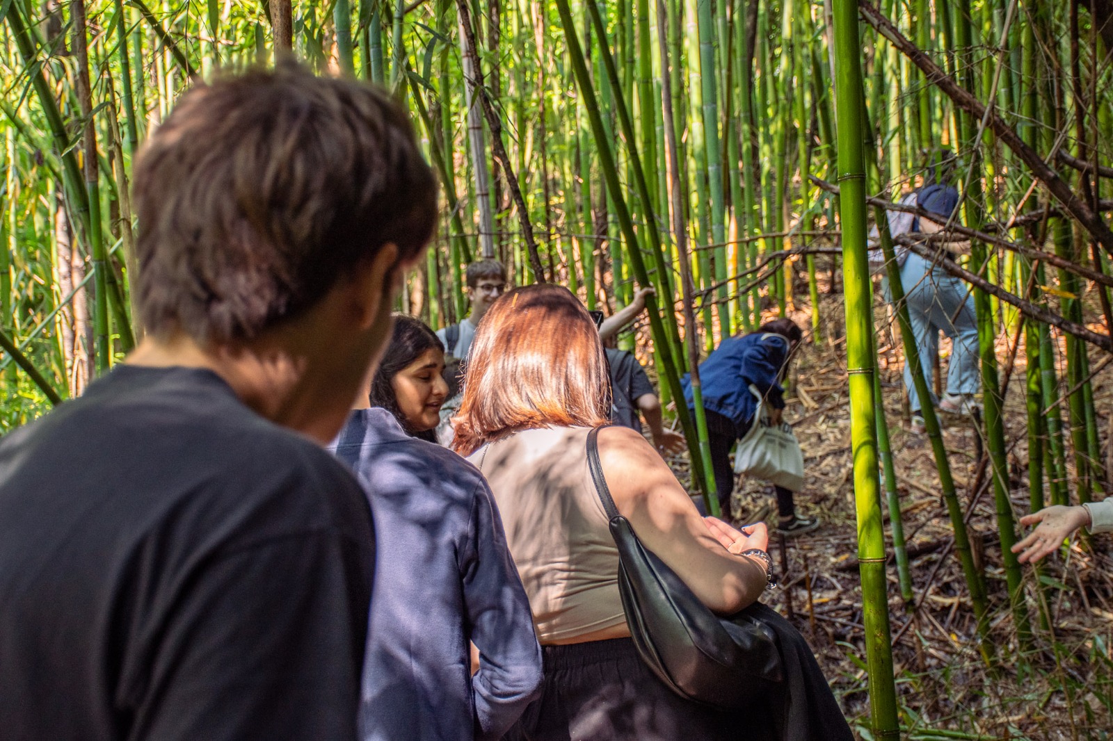 Biofilia e scuola: La rassegna stampa di Biophilic School