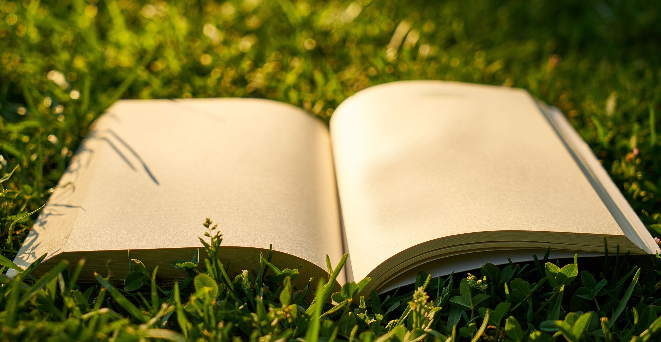 Libri e Sostenibilità: 5 titoli per fare la differenza e attuare un cambiamento