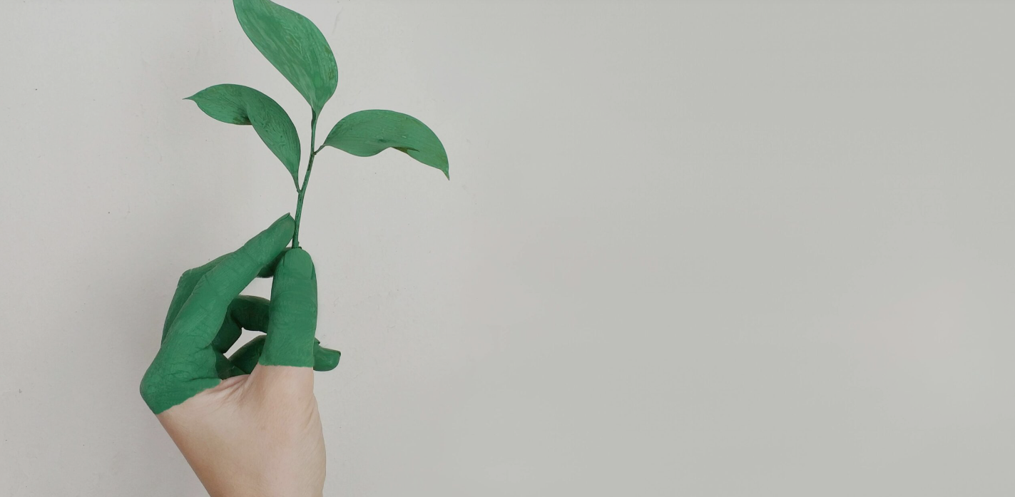 L’Istituto superiore Fermi di Mantova tra i finalisti della 7 ͣ Changemaker Competition