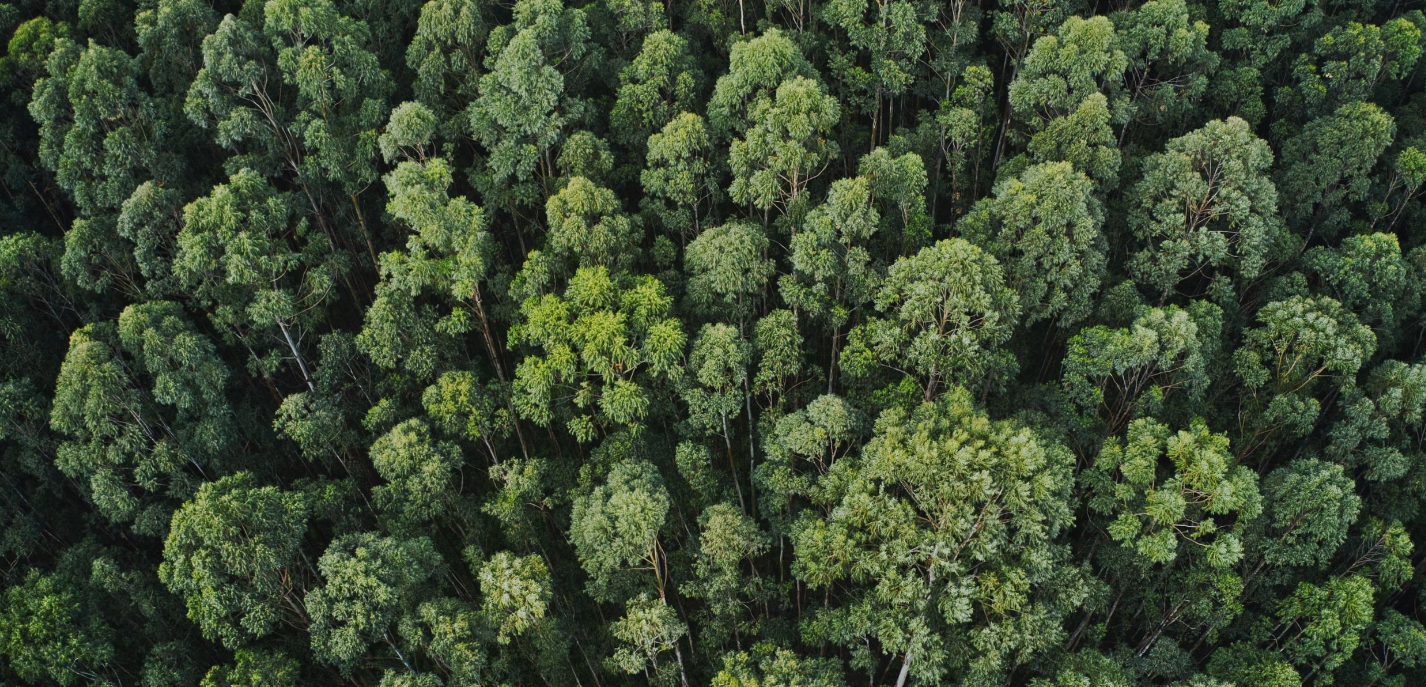 Il liceo scientifico Pacinotti di La Spezia tra i finalisti della 7 ͣ Changemaker Competition