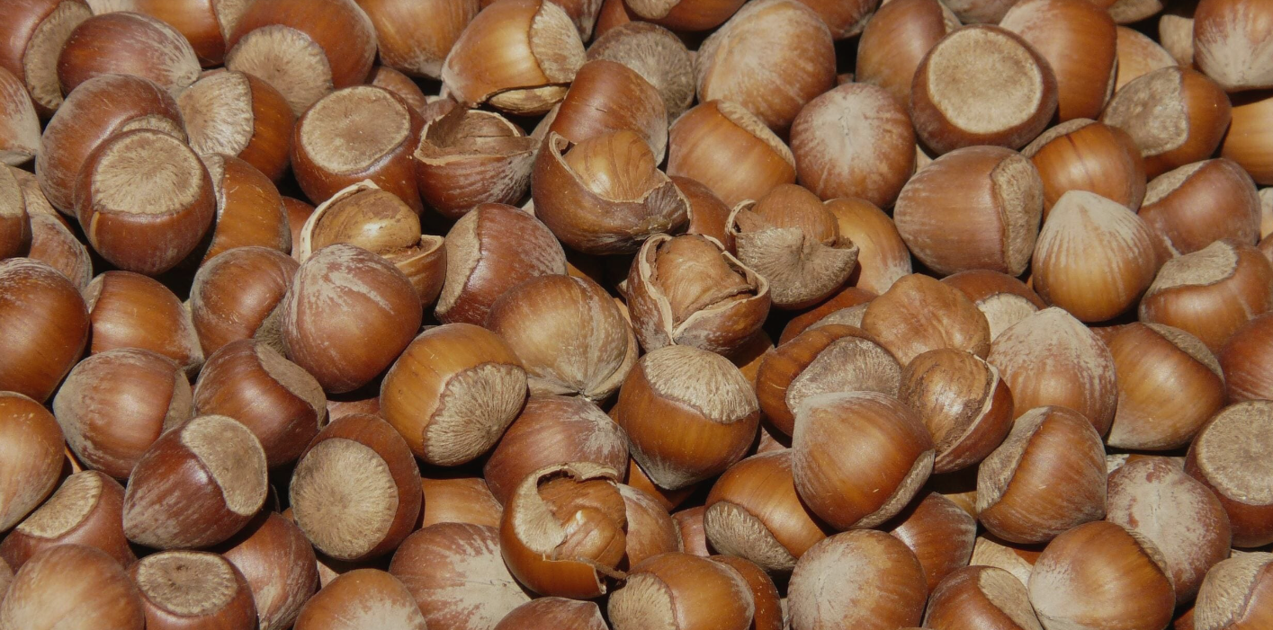 L’istituto IPSEOA “MANLIO ROSSI – DORIA” di Avellino tra i finalisti della 7 ͣ Changemaker Competition