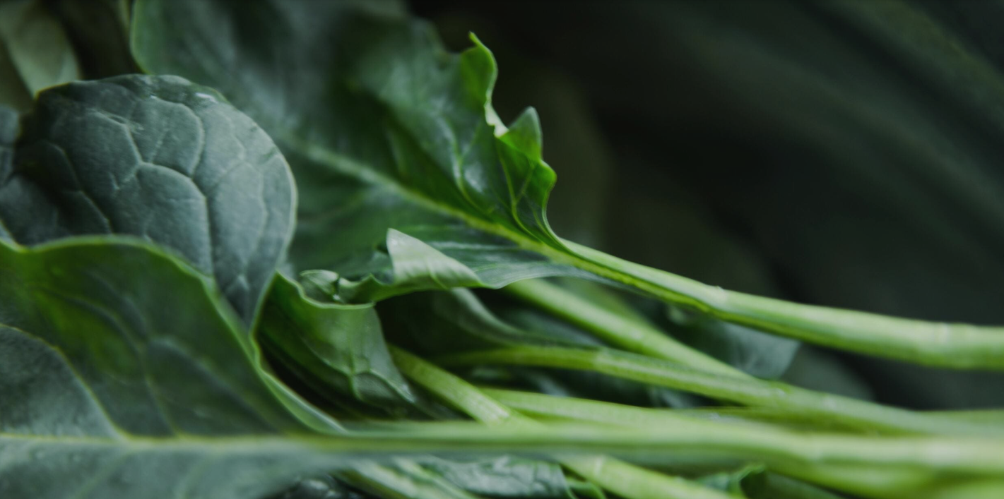 L’istituto tecnico agrario G. Bonfantini di Lesa tra i finalisti della 7 ͣ Changemaker Competition